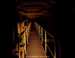 fotografie-16
