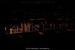 fotografie-19