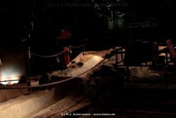 fotografie-37