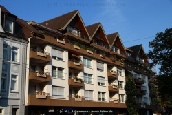 fotografie-15