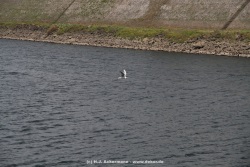 fotografie-59