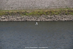 fotografie-61
