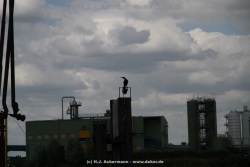 fotografie-92