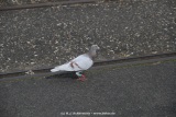 fotografie-153
