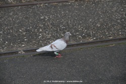fotografie-153