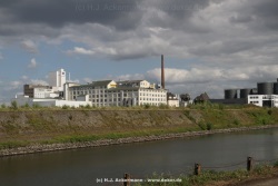fotografie-154