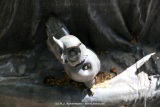 fotografie-17