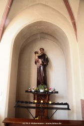 fotografie-6