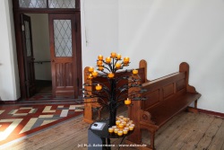 fotografie-24