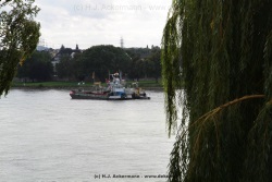 fotografie-68
