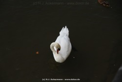 fotografie-193