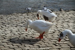fotografie-1