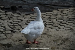 fotografie-27