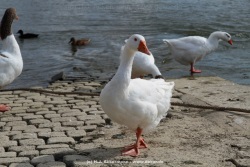 fotografie-141