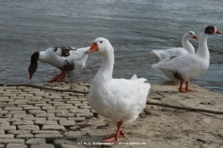 fotografie-66