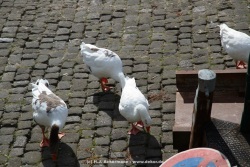 fotografie-135