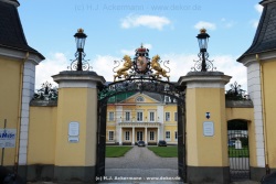 fotografie-5