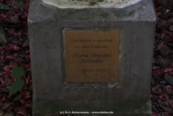 fotografie-54