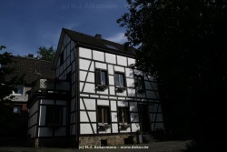 fotografie-62