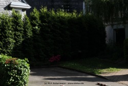 fotografie-68