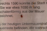 fotografie-22
