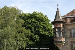 fotografie-38
