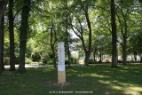 fotografie-1