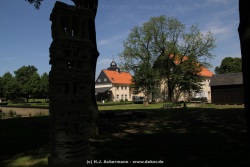 fotografie-13
