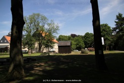 fotografie-15