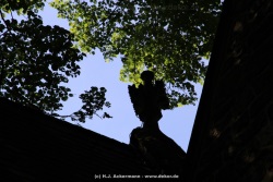 fotografie-75