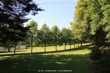 fotografie-83
