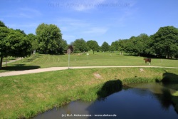 fotografie-100