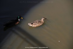 fotografie-112