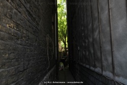 fotografie-29