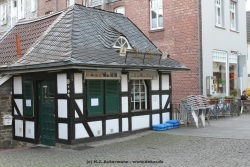 fotografie-67