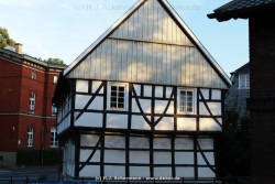 fotografie-21