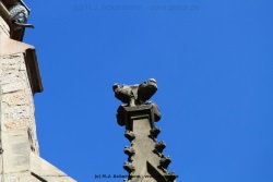 fotografie-29