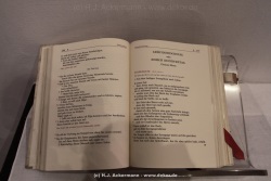 fotografie-156