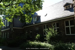 fotografie-65