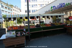 fotografie-41