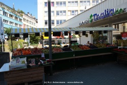 fotografie-9