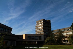 fotografie-91