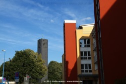 fotografie-31