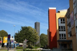fotografie-33