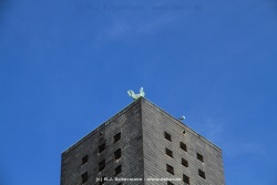 fotografie-11