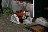 fotografie-40