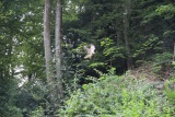 fotografie-47