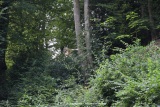 fotografie-49