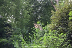 fotografie-53