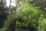 fotografie-57